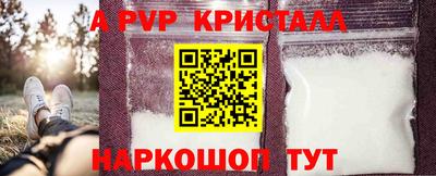 хмурый Тула