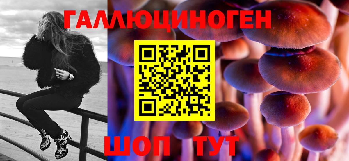 Псилоцибиновые грибы Psilocybine cubensis Бийск