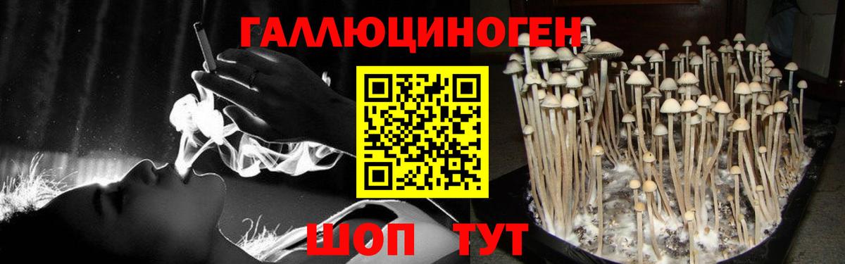 Псилоцибиновые грибы Magic Shrooms  Вход с VPN  Галлюциногенные грибы Magic Shrooms  Бийск 